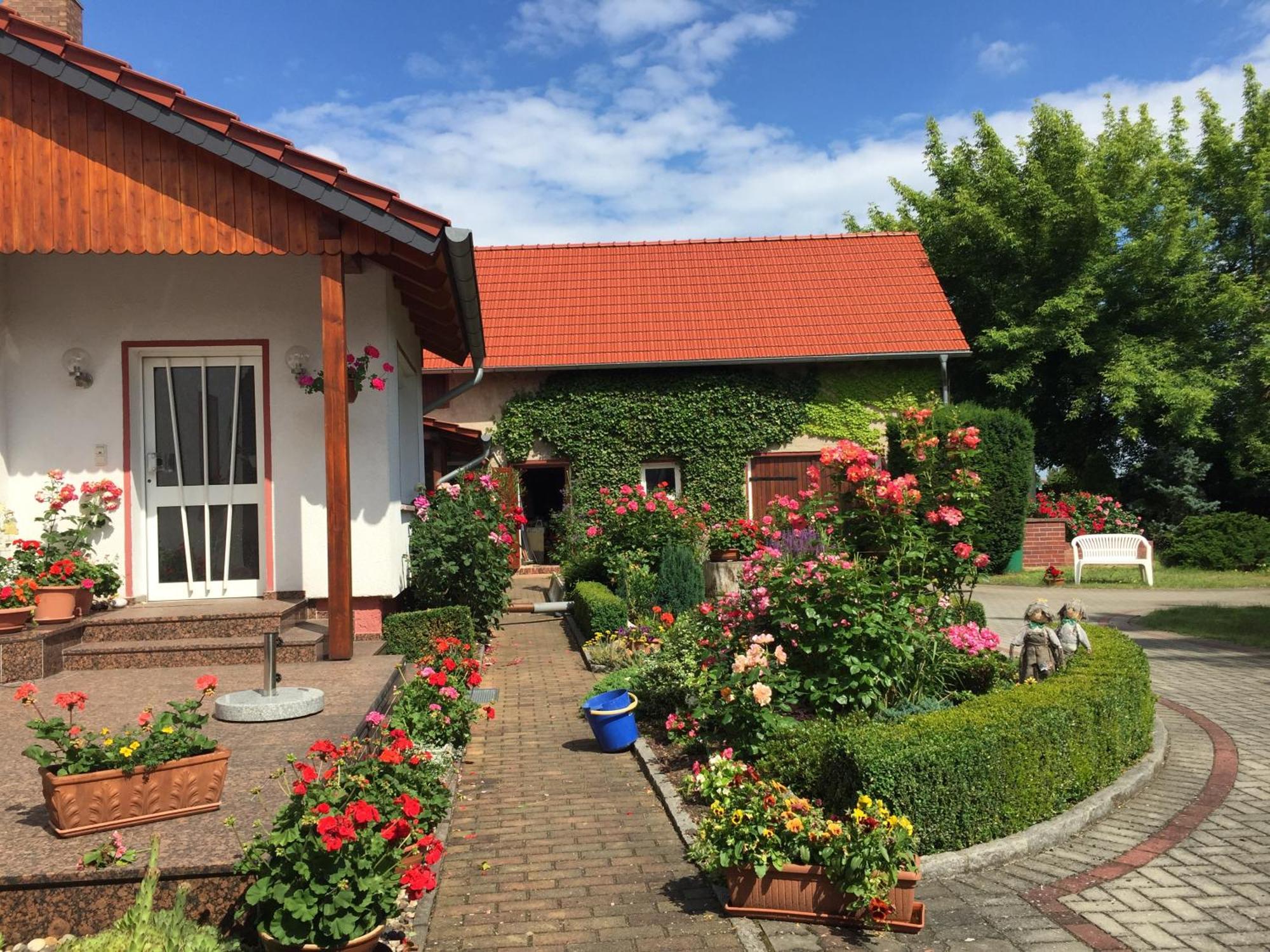 Top-Moderne Ferienwohnung Und Apartments Auf Frueherem Wunderschoenen Bauernhof Im Elbe-Elster-Kreis In Brandenburg Bei Herzberg-Elster, Schoenewalde, Holzdorf Luaran gambar