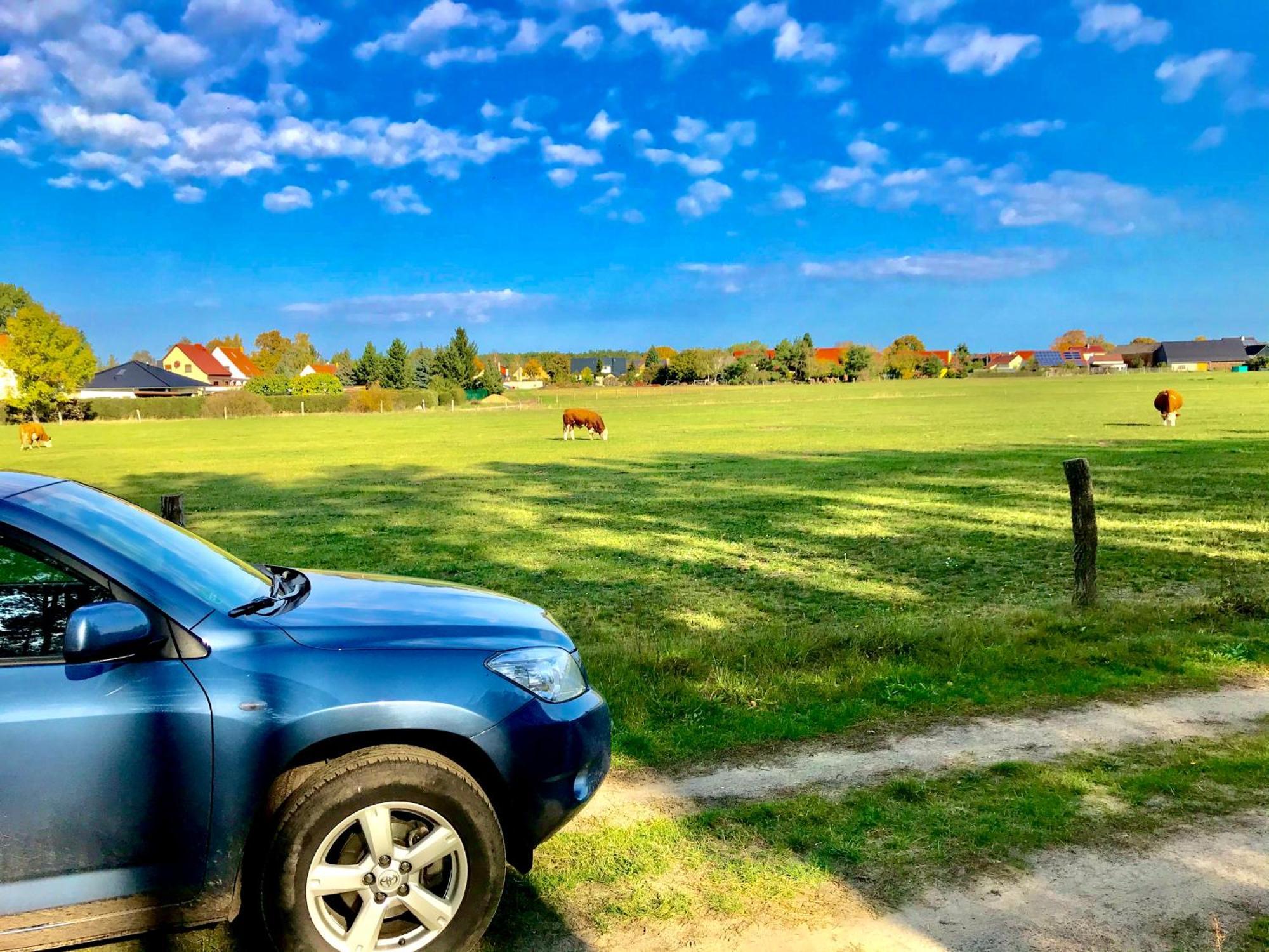 Top-Moderne Ferienwohnung Und Apartments Auf Frueherem Wunderschoenen Bauernhof Im Elbe-Elster-Kreis In Brandenburg Bei Herzberg-Elster, Schoenewalde, Holzdorf Luaran gambar