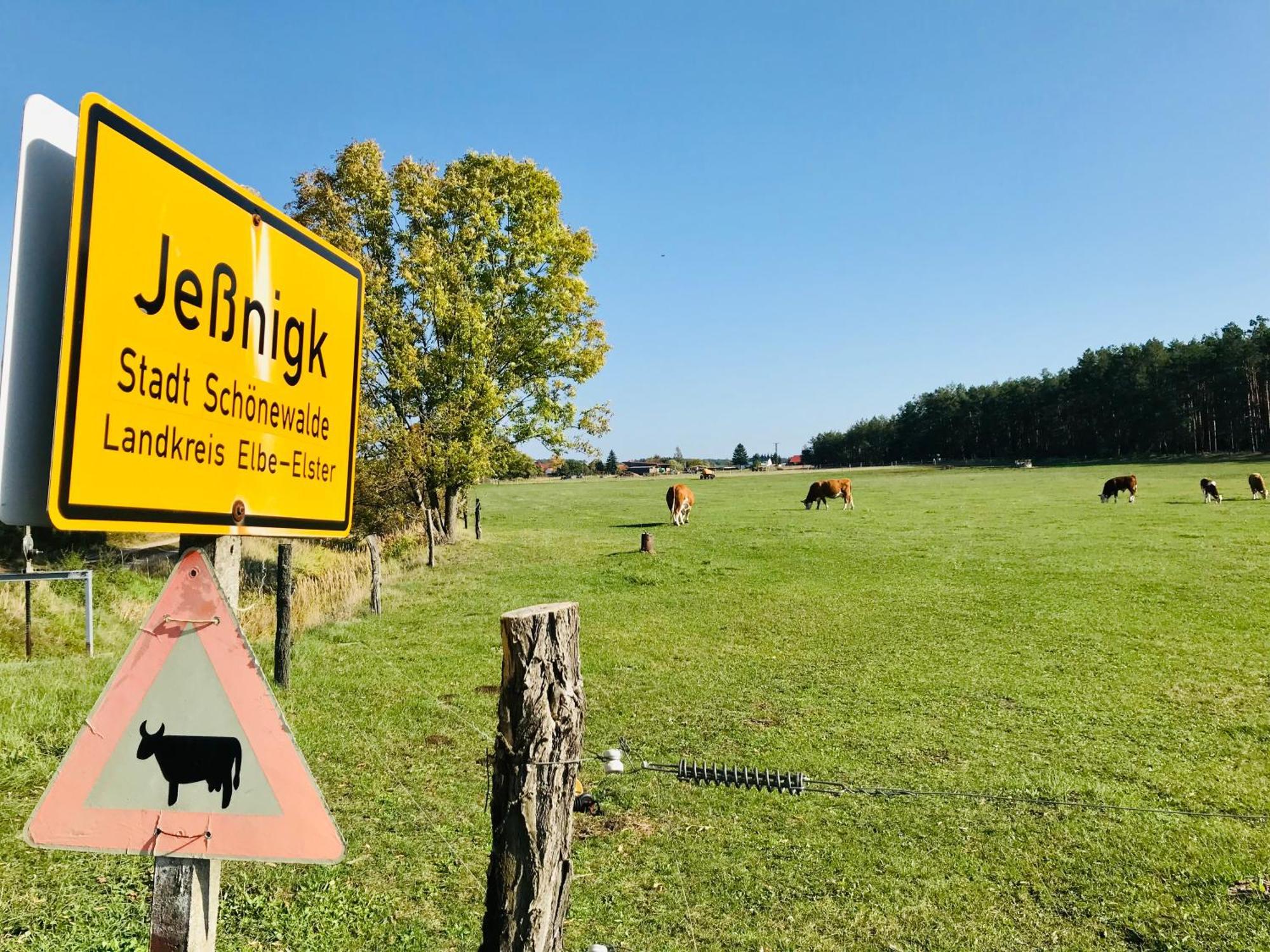 Top-Moderne Ferienwohnung Und Apartments Auf Frueherem Wunderschoenen Bauernhof Im Elbe-Elster-Kreis In Brandenburg Bei Herzberg-Elster, Schoenewalde, Holzdorf Luaran gambar