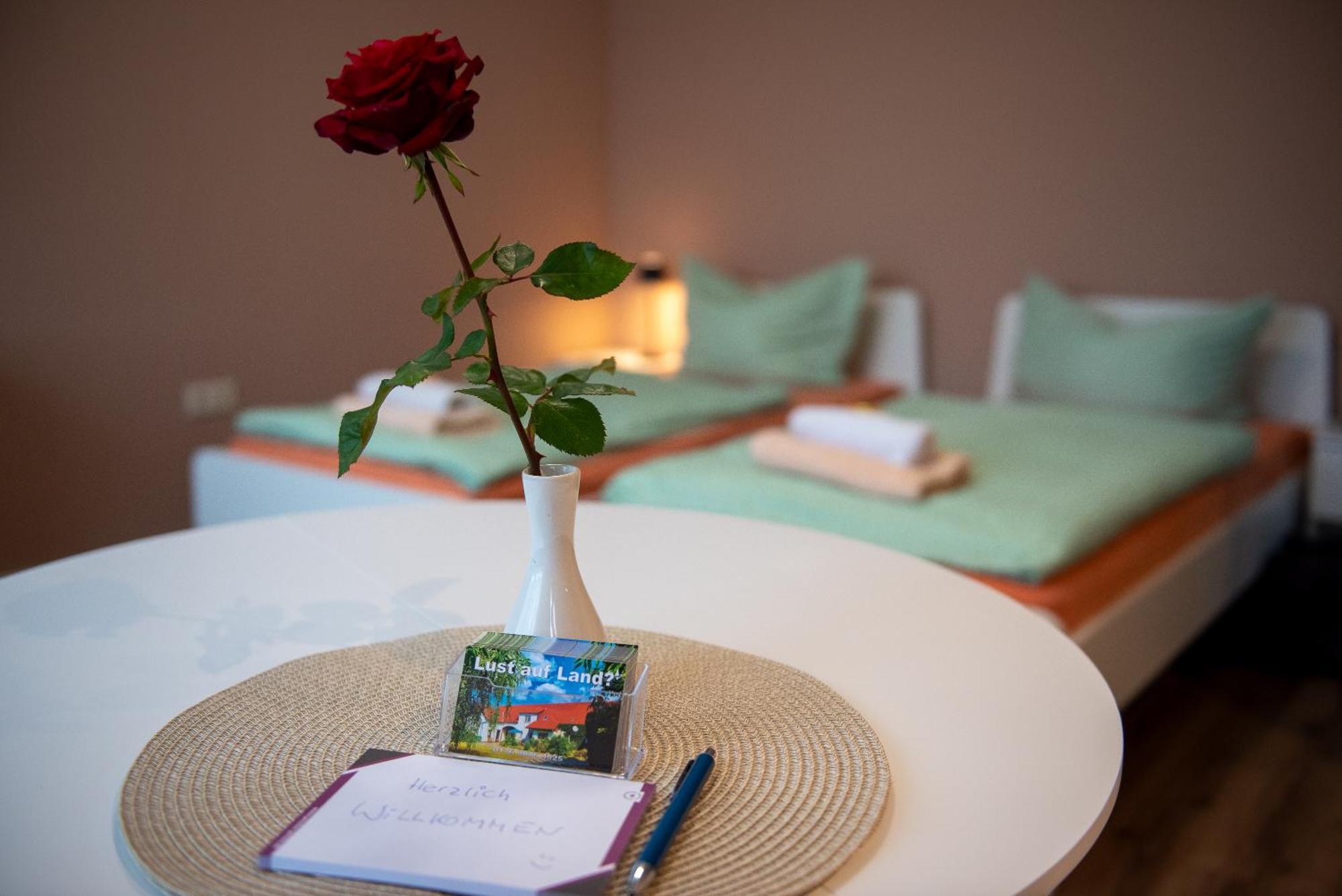 Top-Moderne Ferienwohnung Und Apartments Auf Frueherem Wunderschoenen Bauernhof Im Elbe-Elster-Kreis In Brandenburg Bei Herzberg-Elster, Schoenewalde, Holzdorf Luaran gambar